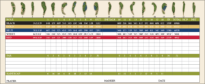 Club Campestre San Jose Scorecard questro golf cabo san lucas discount tee times